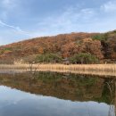 숲속공원놀이터 이미지