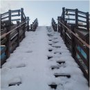 스테이 태연 이미지