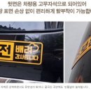 데이즈데코즈