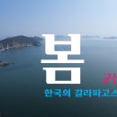 4월5일 군산 말도섬 걷기 당일 이상한여행 /* 사당역 출발 이미지