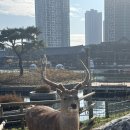 남문통닭 카페 이미지