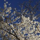 두영오피스텔 이미지