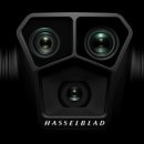 줌(ZOOM) 티스토리