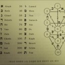 생명나무 이미지