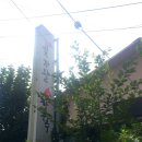 곶자왈칼국수 이미지