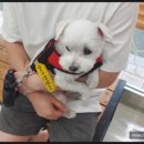 청계종합동물병원 이미지