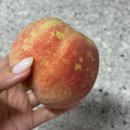 홍현농장 이미지