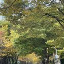 아름다운 성복동 엘지빌리지6차