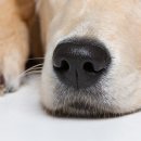 김영진농장 이미지