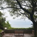 제주 신라호텔 후기 (1) 태교여행, 임산부 혜택, 디럭스 산 전망 객실 업그레이드