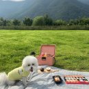 스테이 원(Stay One) 이미지