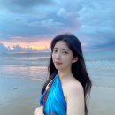 코타팸 이미지