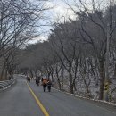 초당골 이미지