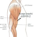 jkj 헬스 이미지