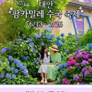 "화담숲 수국 제쳤습니다"... 1만 2천 평이 수국빛으로 물드는 초여름 정원 명소 이미지