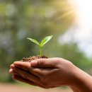 MOM’S GARDEN 이미지