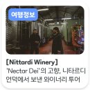 (주)판코르 | 미켈란젤로가 교황에게 보낸 ‘Nectar Dei’의 고향, 니타르디 언덕에서 보낸 와이너리 투어