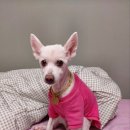 김태화동물병원 이미지