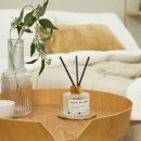 캔들마노 이미지