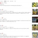 에디션플러스 | 그린핑거 마이키즈 플러스 쿠로미 샴푸, 산리오 한정판 에디션 사용 후기