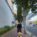 건들바위 | 대구 중구 건들바위역 근처 카페 추천 [대봉정]