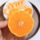 온유농장 이미지