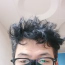 로뎀사무기 이미지