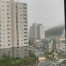 신평성심의원 네이버블로그