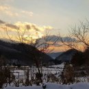 아침에 새소리 이미지