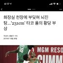 화장실 천장에 부딪혀 뇌진탕…'231cm' 타코 폴의 황당 부상 이미지