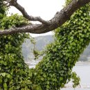 소포마을 이미지