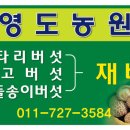 영도농원 이미지
