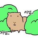 리버스의원 이미지