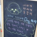즐거운 애견미용 이미지
