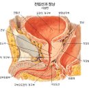 가좌성모병원