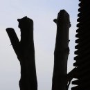 연평도 충민사(임경업사당) | 인천 섬 나들이, 연평도에 다녀오다-1