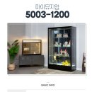 5003 | 피규어 장식장 구매 후기 / 마이뮤지엄 벽면진열장 5003-1200 피규어 장식장 구매 후기