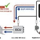 내가그린사과그림체험행사 이미지