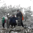 달서송림 이미지