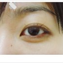 더칼라 이미지