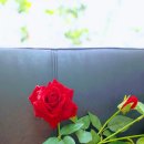 힐타운 공인중개사사무소 이미지