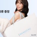스파이시파인트