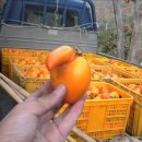 지리산청정농산