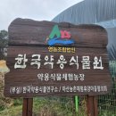 마을교육공동체사회적협동조합숲 이미지