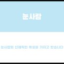 무르 이미지