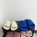 비비드 속눈썹 이미지