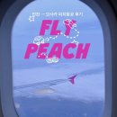 716 | 피치항공 MM716(A320) 인천 → 오사카 간사이 탑승 후기 (기내식 / 공항 터미널 / 지연 / 결항 / 수화물...