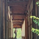 아름다운김현숙안과의원 | 1박-채우미콩나물-전주알라딘-전주남부시장 조점례피순대-커피-아름다운안과김현숙-안성-내방(2025.07.3~4)