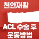 메디코퍼 | 천안 ACL 수술 후 재활