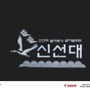 청정SF | ​부산 야경 명소 화려한 항만 불빛에 취하는 곳, 신선대 야경 사진 잘 찍는 법